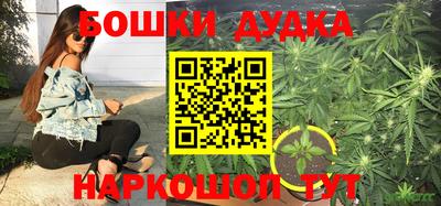 шишки Бузулук
