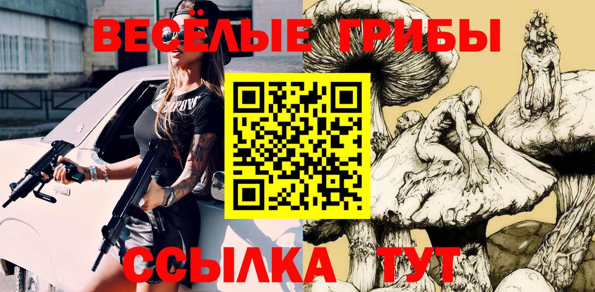 Галлюциногенные грибы Psilocybine cubensis  Вход с VPN  Псилоцибиновые грибы Psilocybine cubensis  Златоуст 