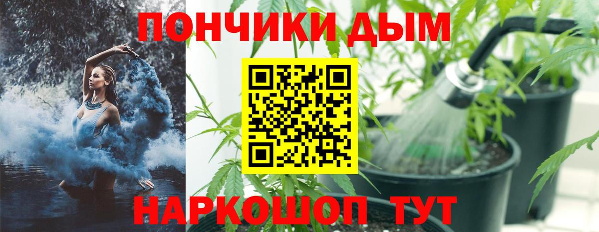 Бошки марихуана VHQ Златоуст